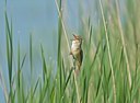 BUITEN BEELD Foto: 12157