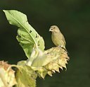 BUITEN BEELD Foto: 12185