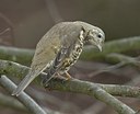 BUITEN BEELD Foto: 12204