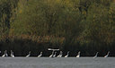 BUITEN BEELD Foto: 12247