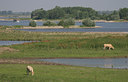 BUITEN BEELD Foto: 12281
