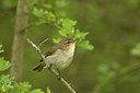 BUITEN BEELD Foto: 12351