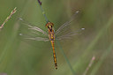 BUITEN BEELD Foto: 12361