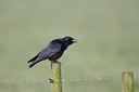 BUITEN BEELD Foto: 12484