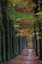 BUITEN BEELD Foto: 12531