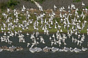 BUITEN BEELD Foto: 12567