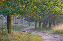 BUITEN BEELD Foto: 12574