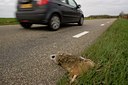 BUITEN BEELD Foto: 12578