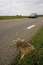 BUITEN BEELD Foto: 12579