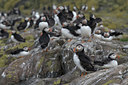 BUITEN BEELD Foto: 12611
