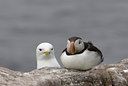 BUITEN BEELD Foto: 12627