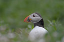BUITEN BEELD Foto: 12658