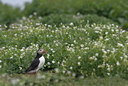 BUITEN BEELD Foto: 12675