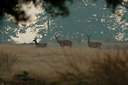 BUITEN BEELD Foto: 12711