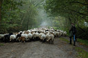 BUITEN BEELD Foto: 12714