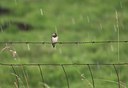 BUITEN BEELD Foto: 12769