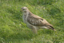 BUITEN BEELD Foto: 12814