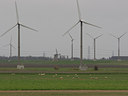 BUITEN BEELD Foto: 12891