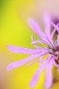 BUITEN BEELD Foto: 129007