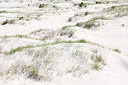 BUITEN BEELD Foto: 129104