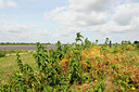 BUITEN BEELD Foto: 129178
