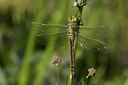 BUITEN BEELD Foto: 129185