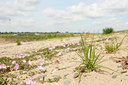 BUITEN BEELD Foto: 129188
