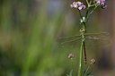 BUITEN BEELD Foto: 129191