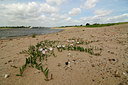 BUITEN BEELD Foto: 129211