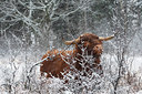 BUITEN BEELD Foto: 129268