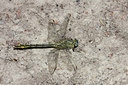 BUITEN BEELD Foto: 129305