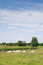 BUITEN BEELD Foto: 129580