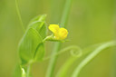 BUITEN BEELD Foto: 129731