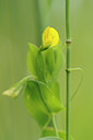 BUITEN BEELD Foto: 129742