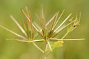 BUITEN BEELD Foto: 129745
