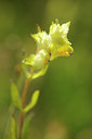 BUITEN BEELD Foto: 129747