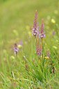 BUITEN BEELD Foto: 129752