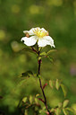 BUITEN BEELD Foto: 129763
