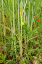 BUITEN BEELD Foto: 129777