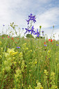 BUITEN BEELD Foto: 129782