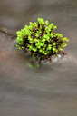 BUITEN BEELD Foto: 129833