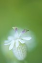 BUITEN BEELD Foto: 129862
