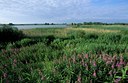 BUITEN BEELD Foto: 130024