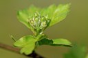 BUITEN BEELD Foto: 130040