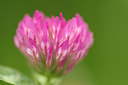 BUITEN BEELD Foto: 130073