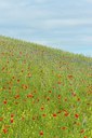 BUITEN BEELD Foto: 130085