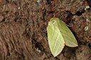 BUITEN BEELD Foto: 130094