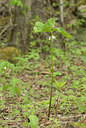 BUITEN BEELD Foto: 130105