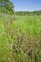 BUITEN BEELD Foto: 130146
