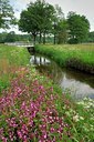 BUITEN BEELD Foto: 130194